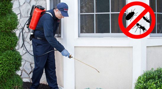 Karayazı Dezenfeksiyon böcek ilaçlama ve haşere kontrolü — ilaclama-tr.com